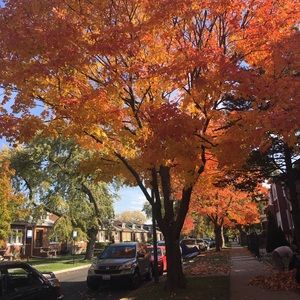 Meet your Posher, Lizette